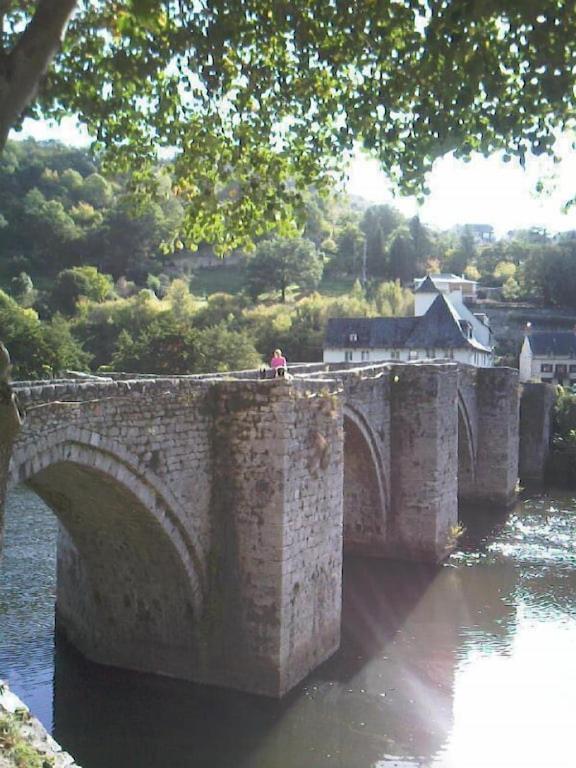 Vue Du Pont Leilighet Entraygues-sur-Truyère Eksteriør bilde