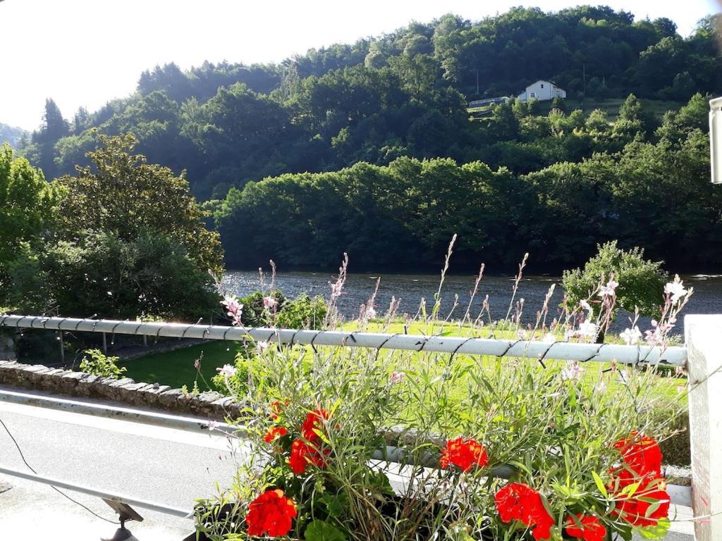 Vue Du Pont Leilighet Entraygues-sur-Truyère Eksteriør bilde