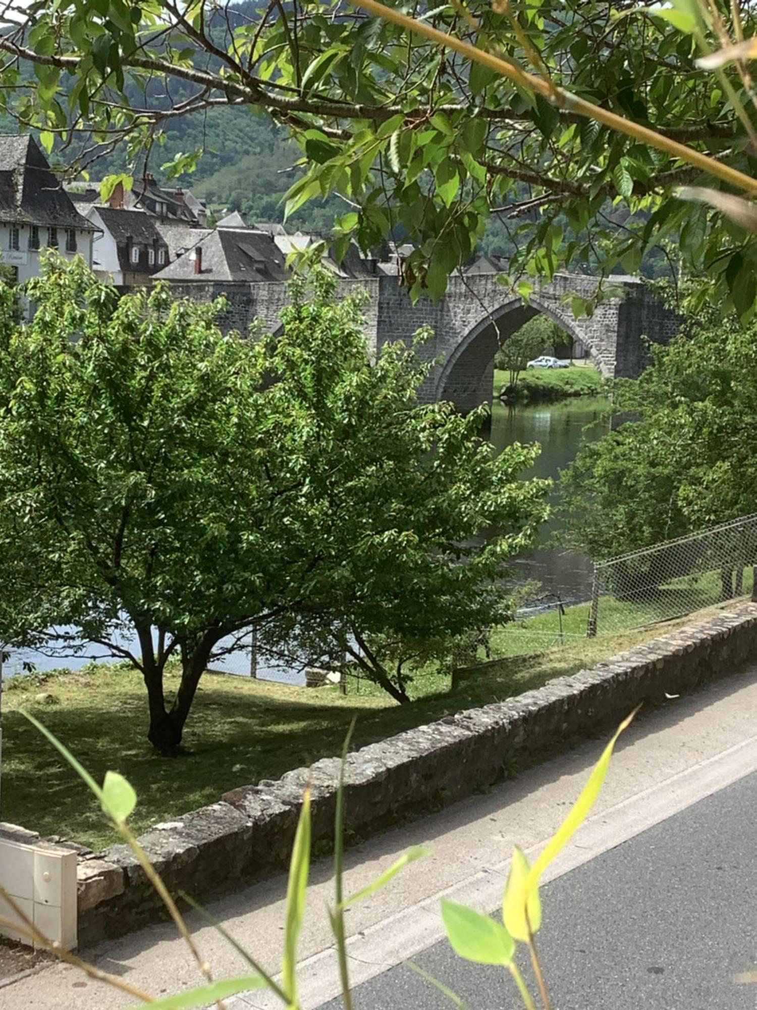 Vue Du Pont Leilighet Entraygues-sur-Truyère Eksteriør bilde